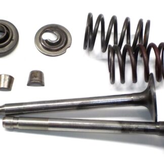 Briggs & Stratton 190412 Valve Parts