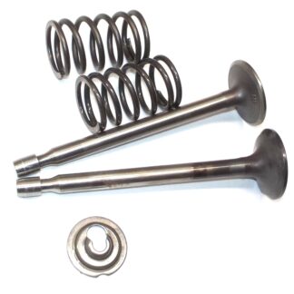 Briggs & Stratton 8HP 192412 Valve Parts 261055S , 691287